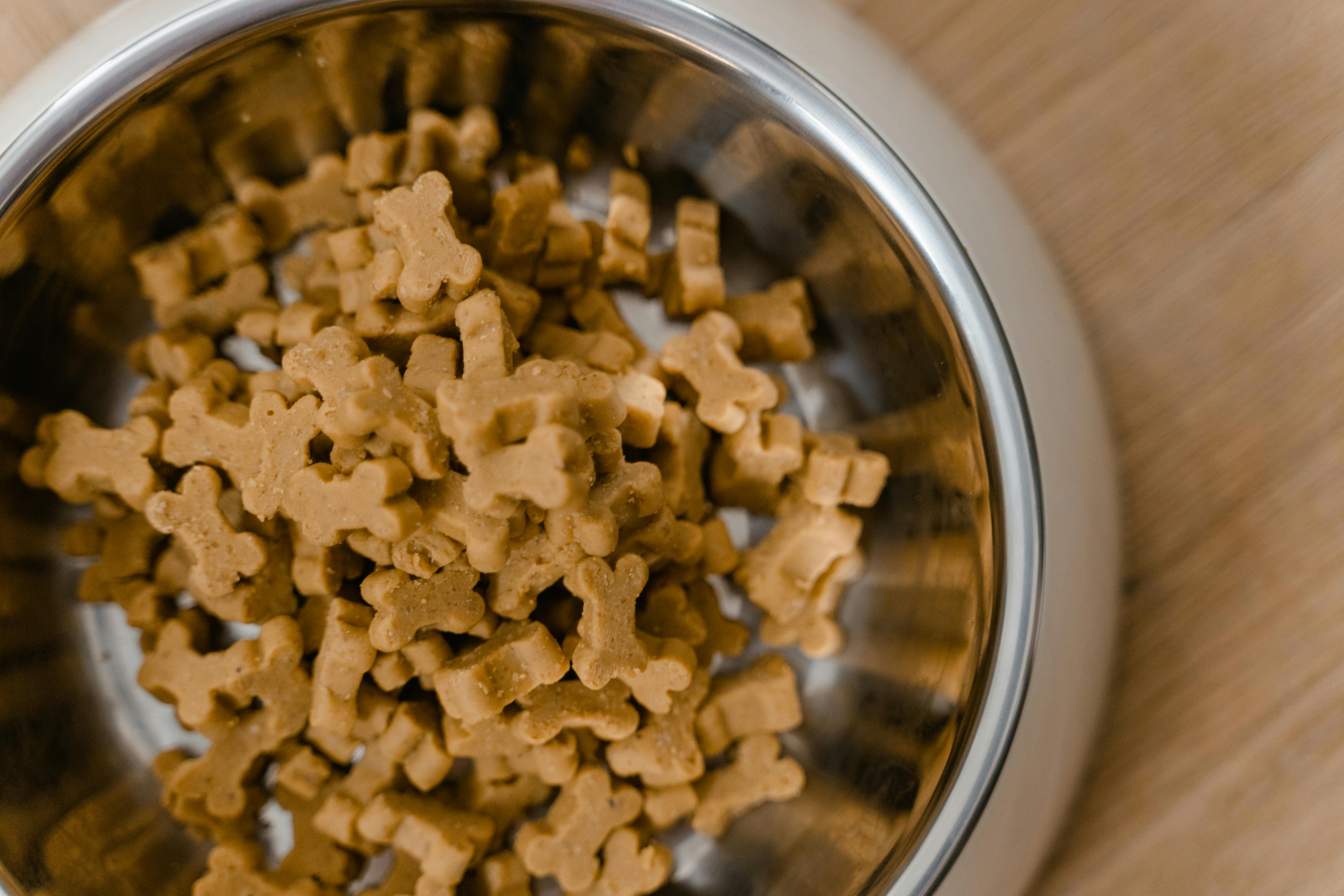 What’s in a Good Dog Food?
